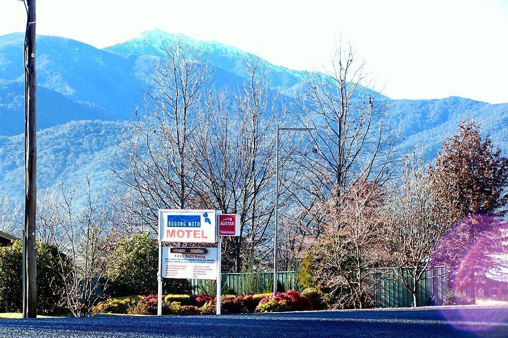Bogong Moth Motel Mount Beauty Exterior photo