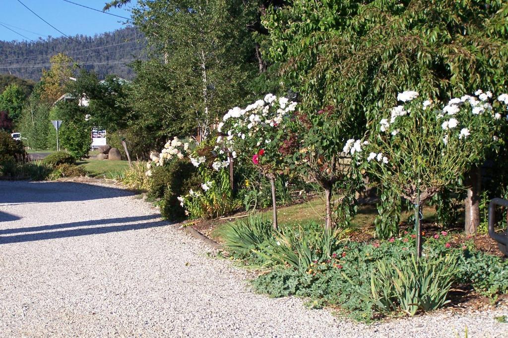 Bogong Moth Motel Mount Beauty Exterior photo