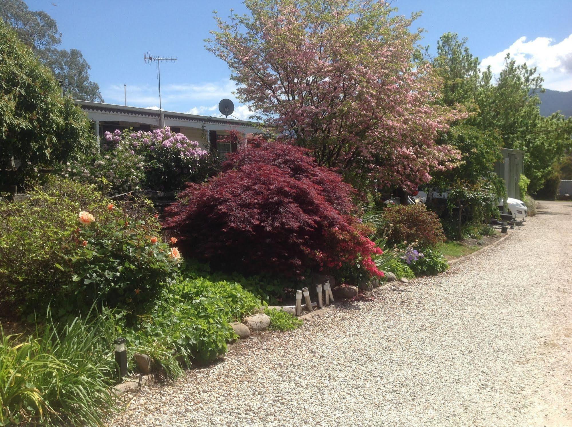 Bogong Moth Motel Mount Beauty Exterior photo
